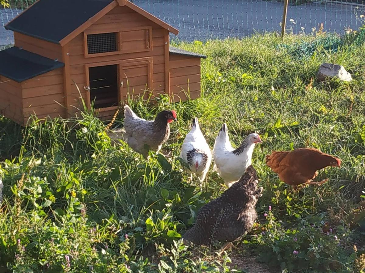 Maison D'Hotes Des Bassins D'Oche Saint-Paul-en-Chablais Eksteriør bilde