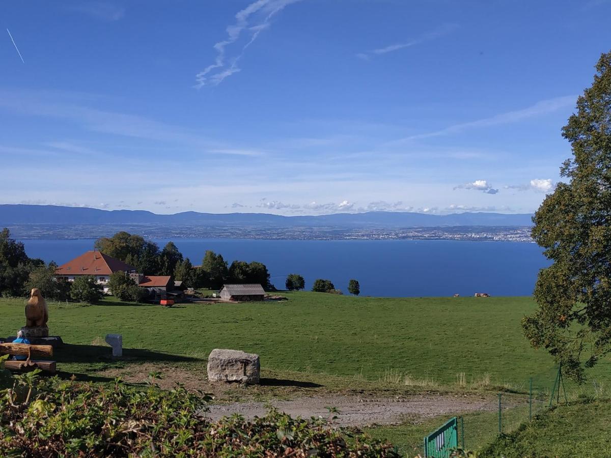 Maison D'Hotes Des Bassins D'Oche Saint-Paul-en-Chablais Eksteriør bilde