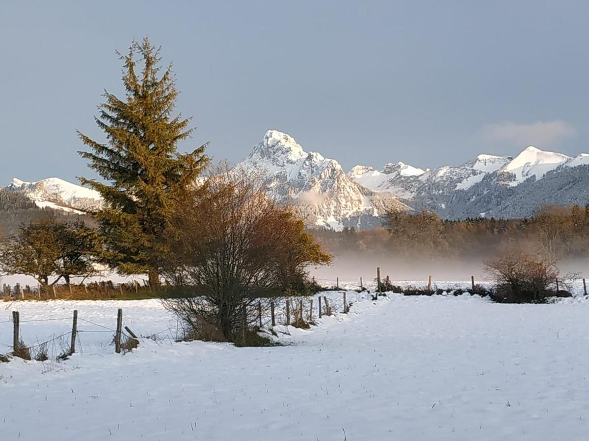 Maison D'Hotes Des Bassins D'Oche Saint-Paul-en-Chablais Eksteriør bilde