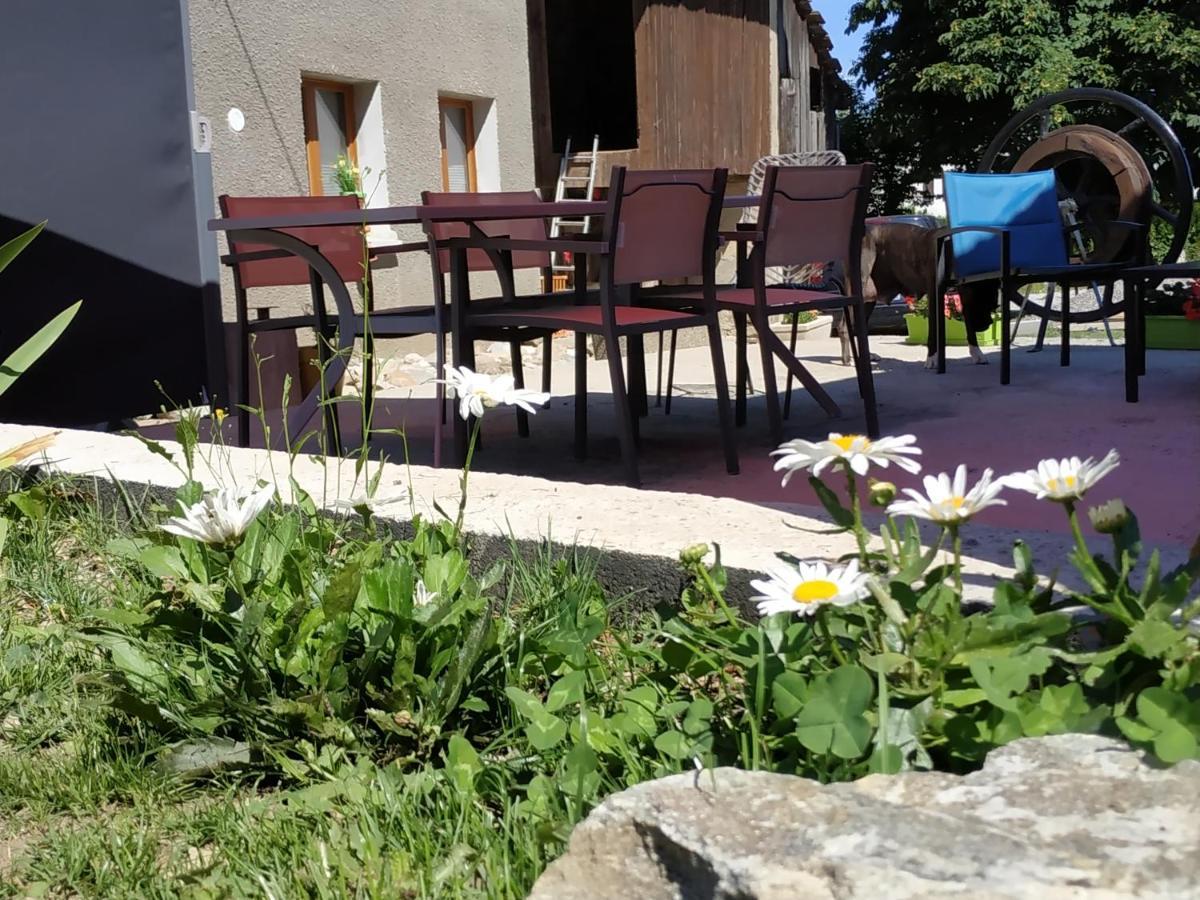 Maison D'Hotes Des Bassins D'Oche Saint-Paul-en-Chablais Eksteriør bilde